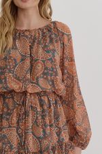 Paisley Chiffon Dress